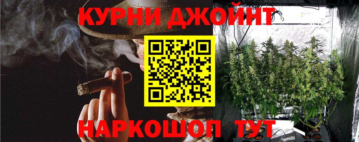 Галлюциногенные грибы Аргун